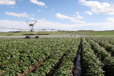 内蒙古农作物良种覆盖率达98%以上，现代农业发展迈上新台阶