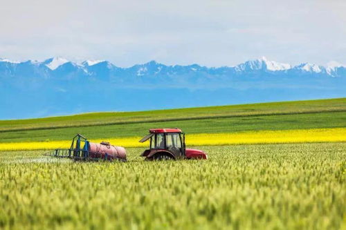 未来十年餐桌变革 智慧农业如何重塑我们的米袋子与菜篮子