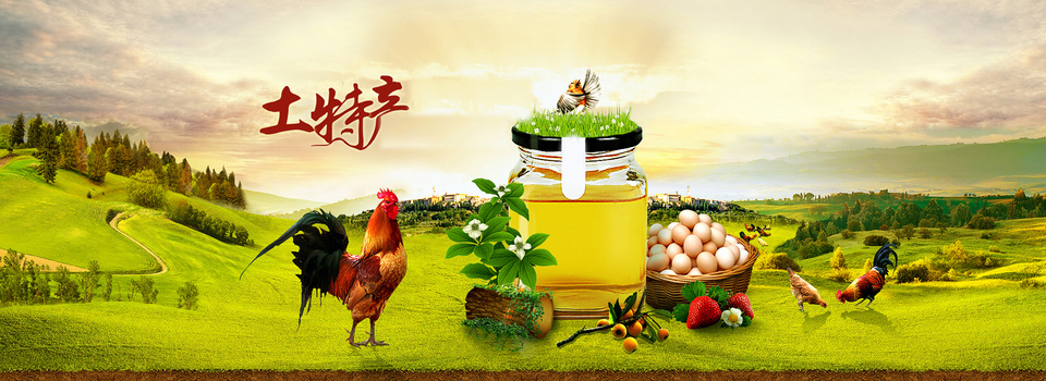 绿色沃土育鲜果 土特产农产品中的绿色食品种植之道